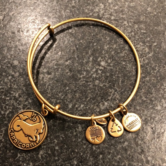 NWT Alex & Ani Capricorn Gold Bangle Bracelet - Picture 2 of 3